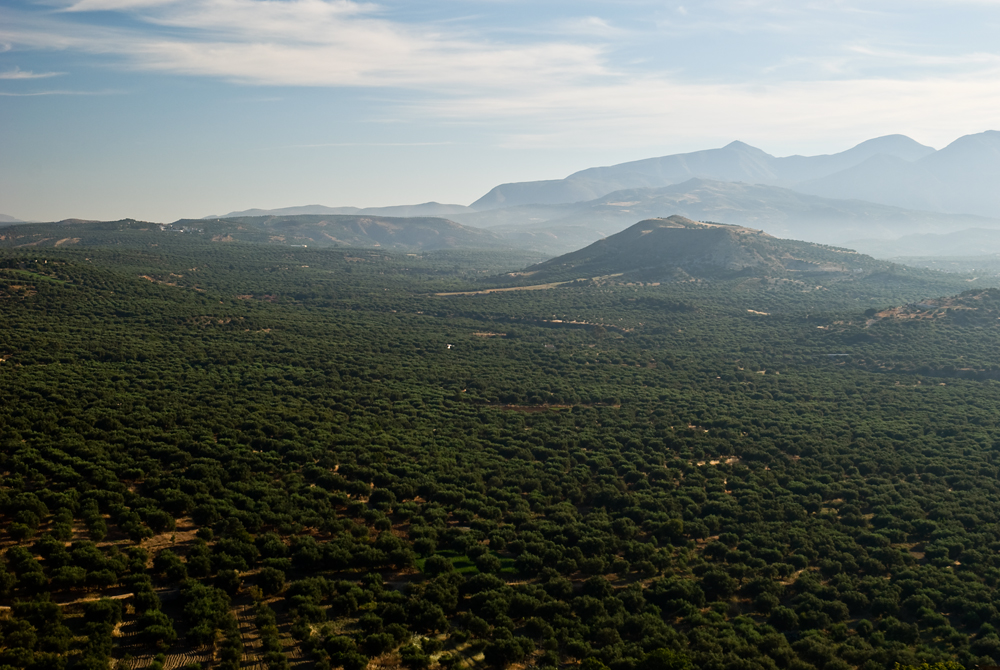 367_Kreta Wschodnia.jpg